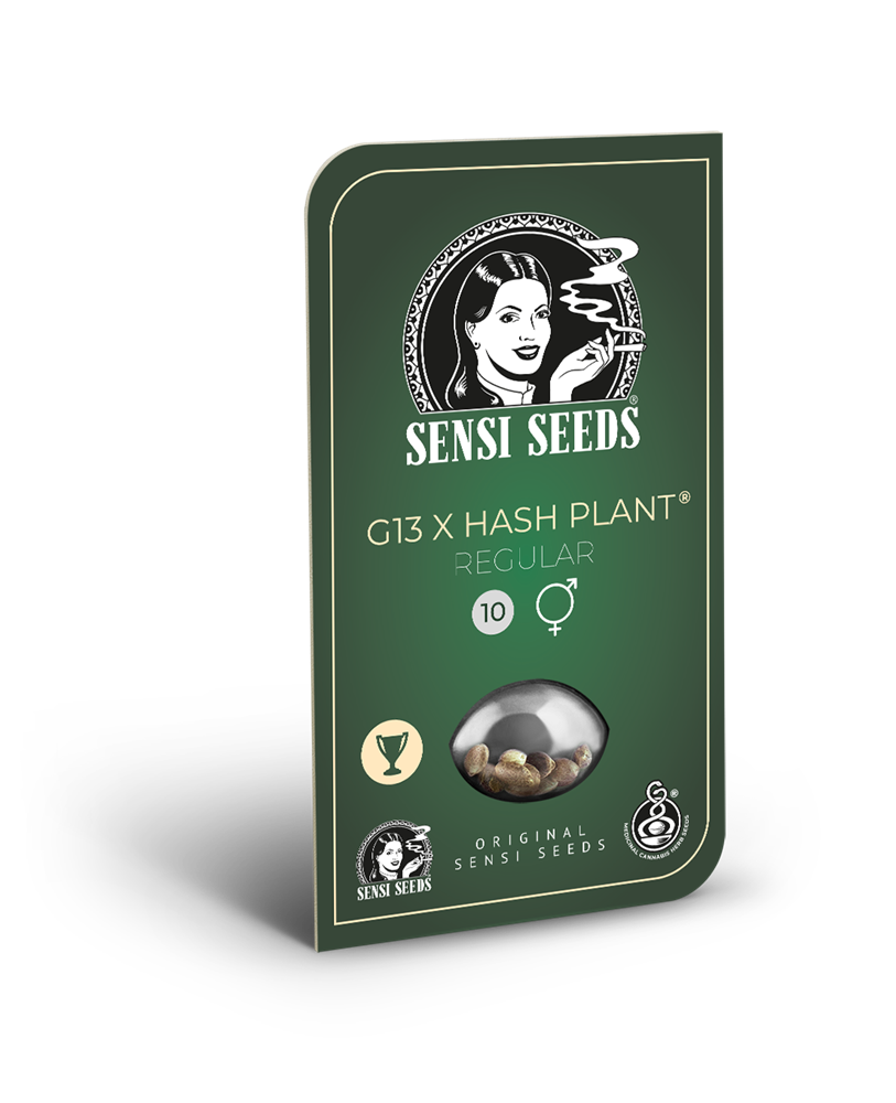 Sensi Seeds Mr Nice G13 x Hash Plant Regular