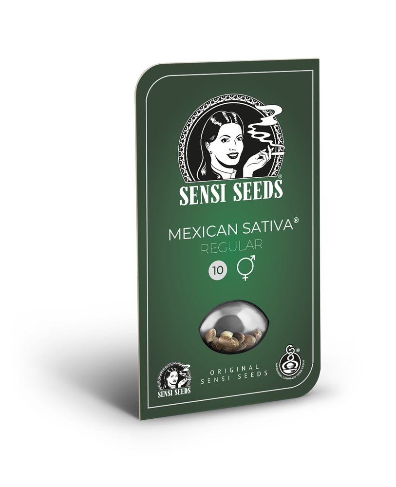 Sensi Seeds Mexican Sativa Regular
