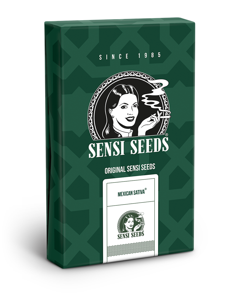 Sensi Seeds Mexican Sativa Regular