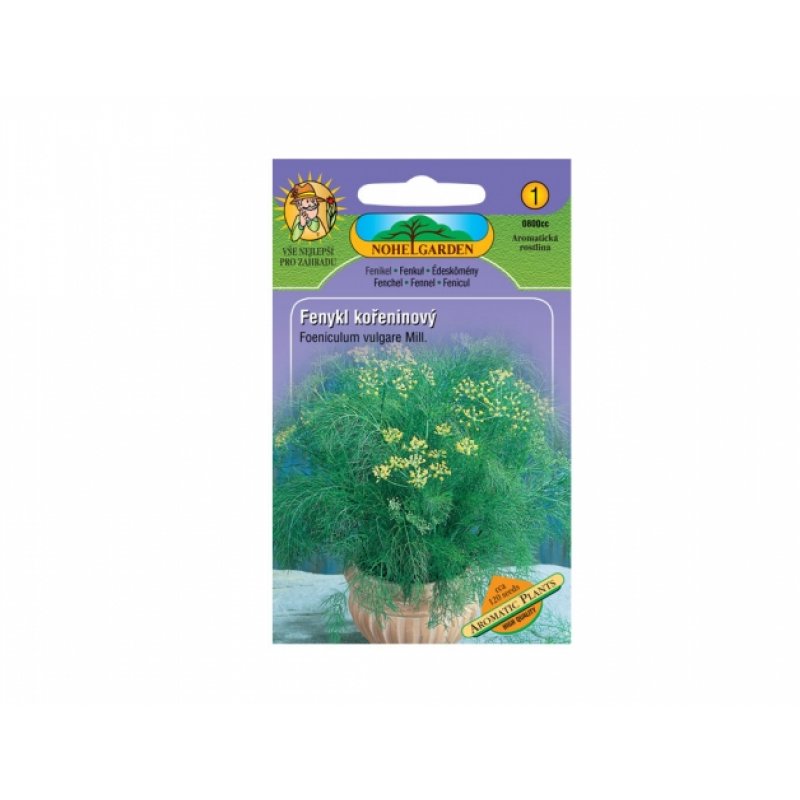 Gewürzter Fenchel