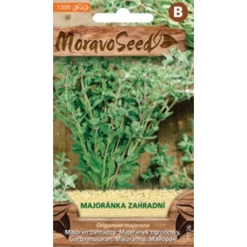 Gartenmajoran - Origanum Majorana