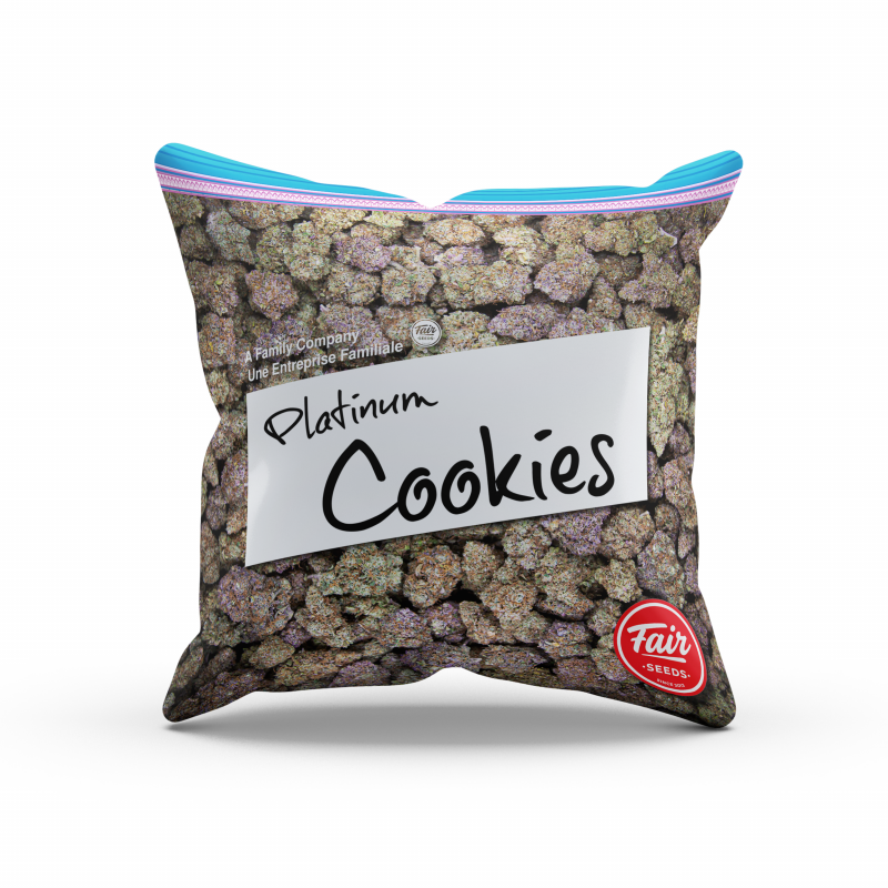 Fair Seeds Platinum Cookie Kissen 38 x 38 cm