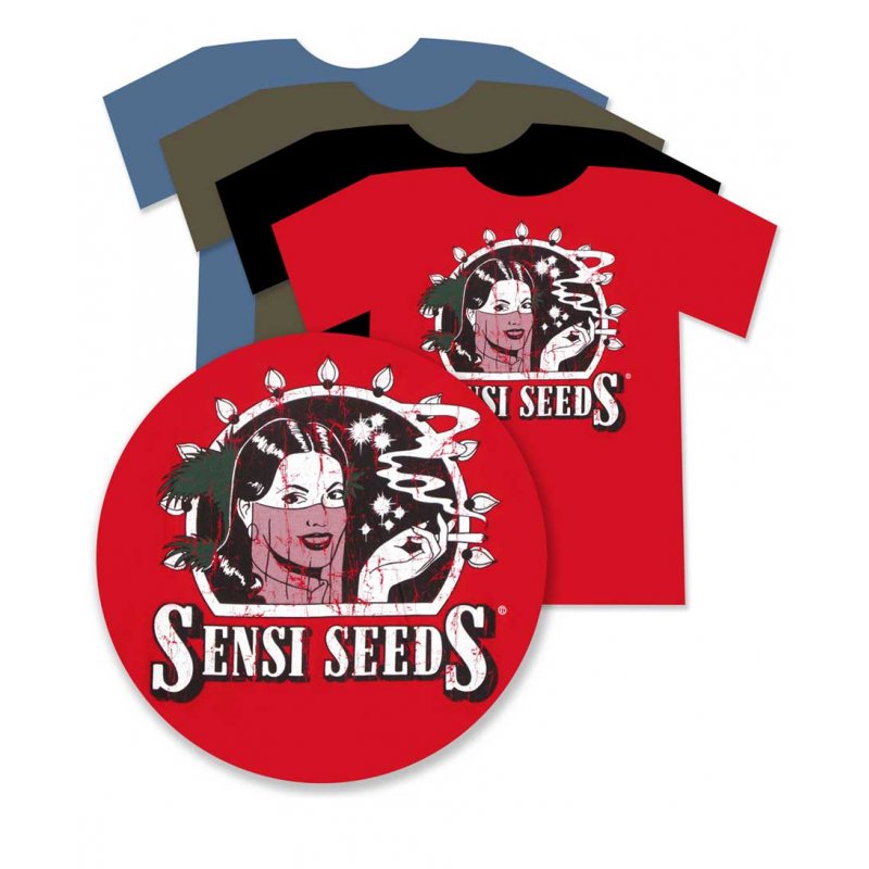 SENSI SEEDS T-Shirt mit verwaschenem blauem Universal-Logo