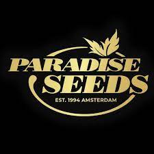 Paradise Seeds Gold Logo T-Shirt, schwarze Herren, mehrere Größen