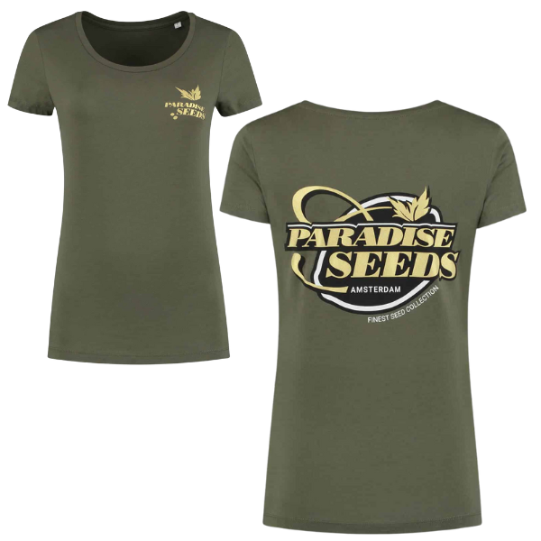 Paradise Seeds Gold Logo T-Shirt, Grau Herren, mehrere Größen