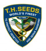 TH Seeds Birthday Bubble Cake, Normal, 11 Stück