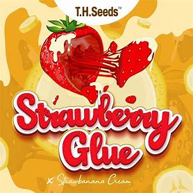 TH Seeds Limited Regular Edition Strawberry Glue x Strawbanana Cream, Regular, 11 Stk