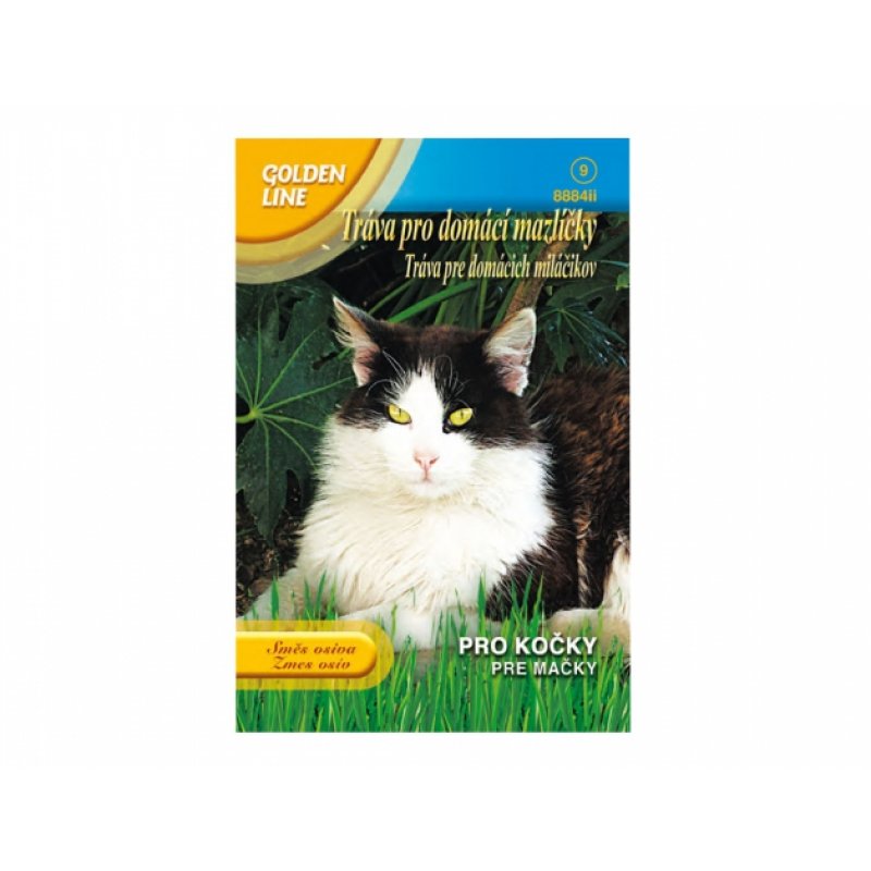 Gras für Katzen