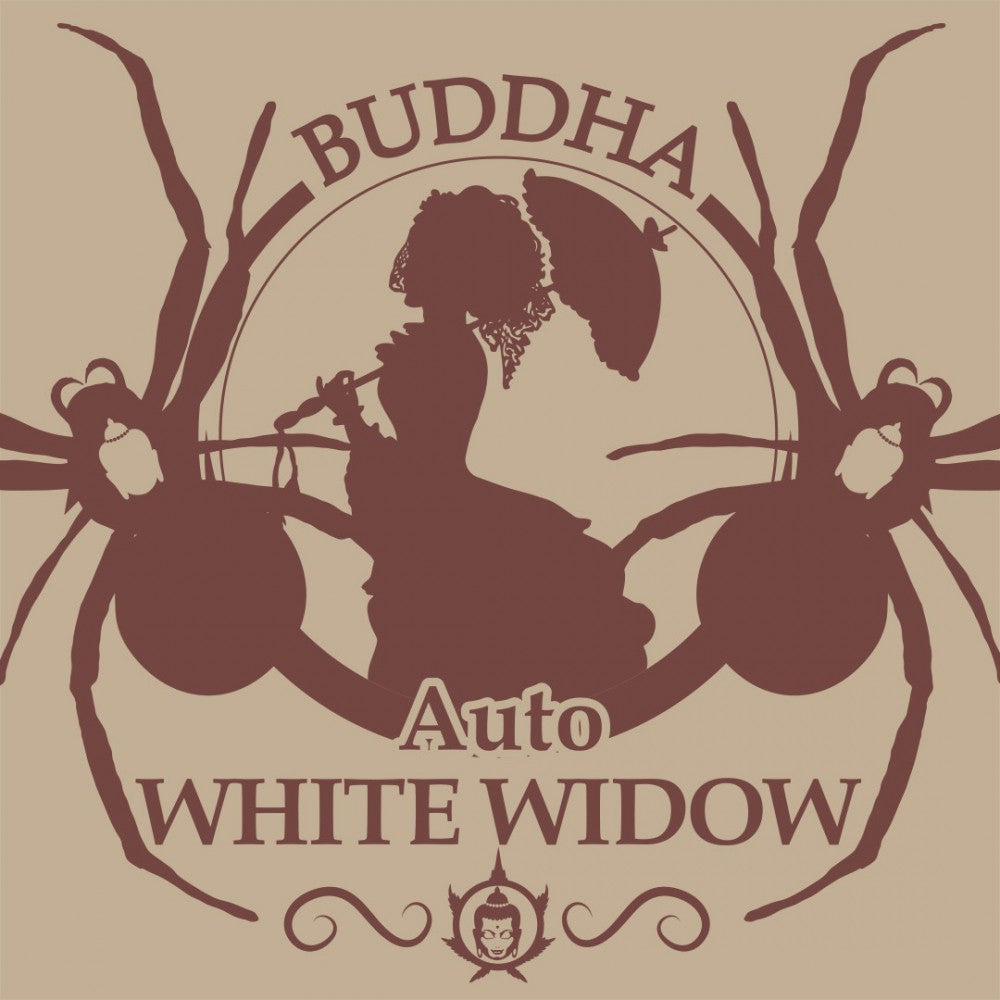 Buddha Seeds ''Buddha's Classics'' Auto White Widow