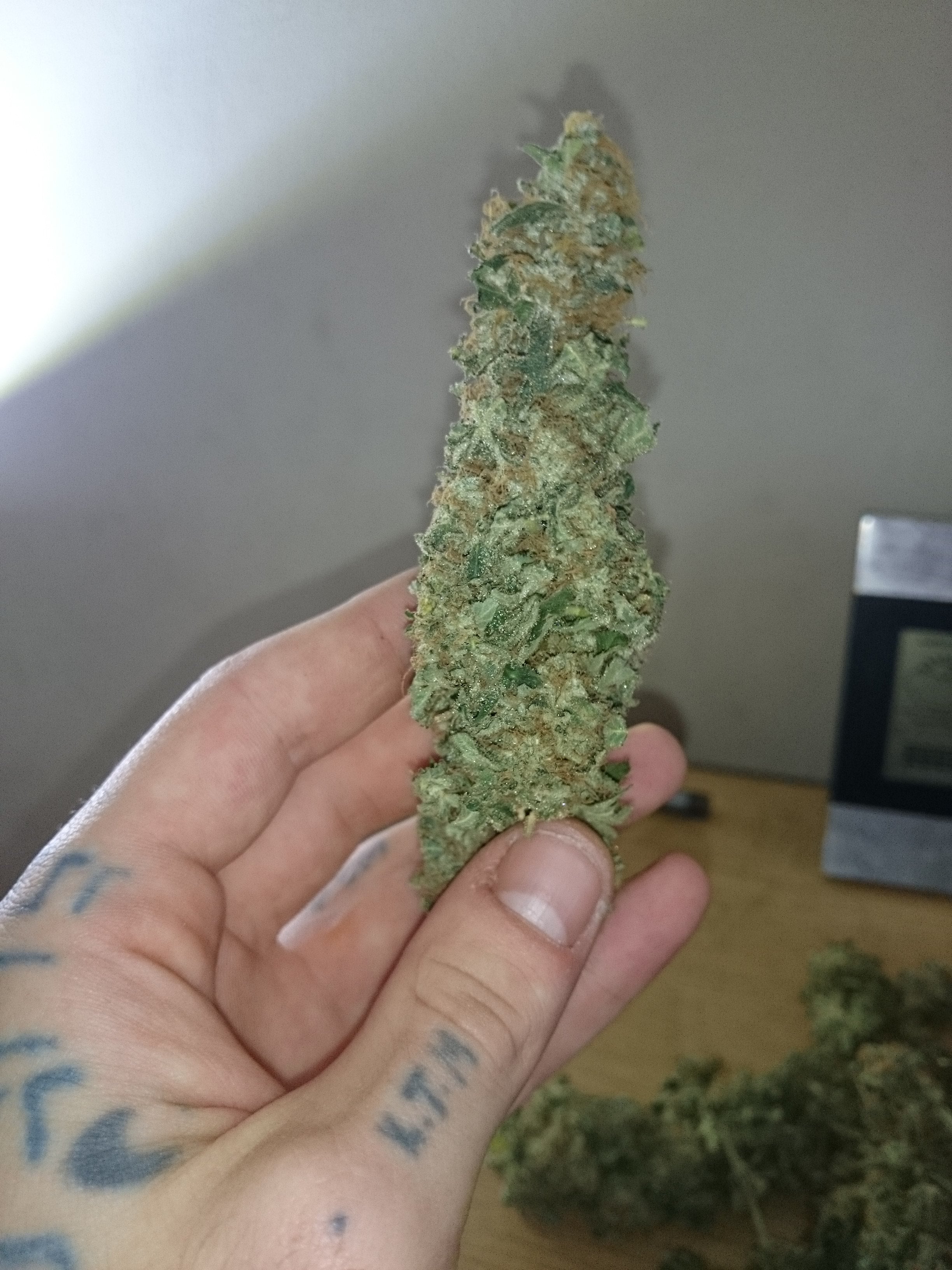 Dinafem Blue Kush Auto Feminisiert Autoflower