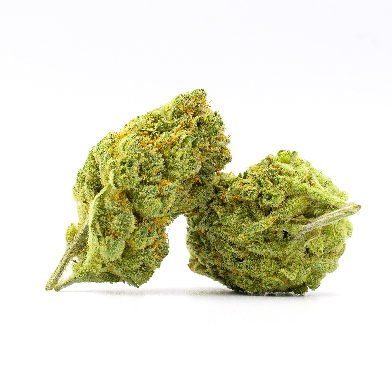 Blimburn Seeds Hellfire OG von Steve DeAngelo´s feminisiert