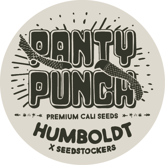 Seedstockers x Humboldt Panty Punch regulär