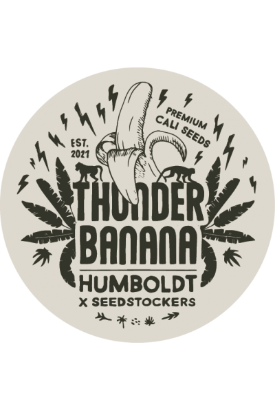 Seedstockers x Humboldt Thunder Banana Auto Feminisierte Autoflower