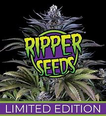 Ripper Seeds, Limited 2a, feminisiert