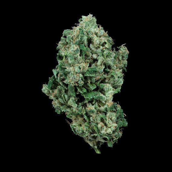 DNA Genetics Kandy Kush Feminisiert